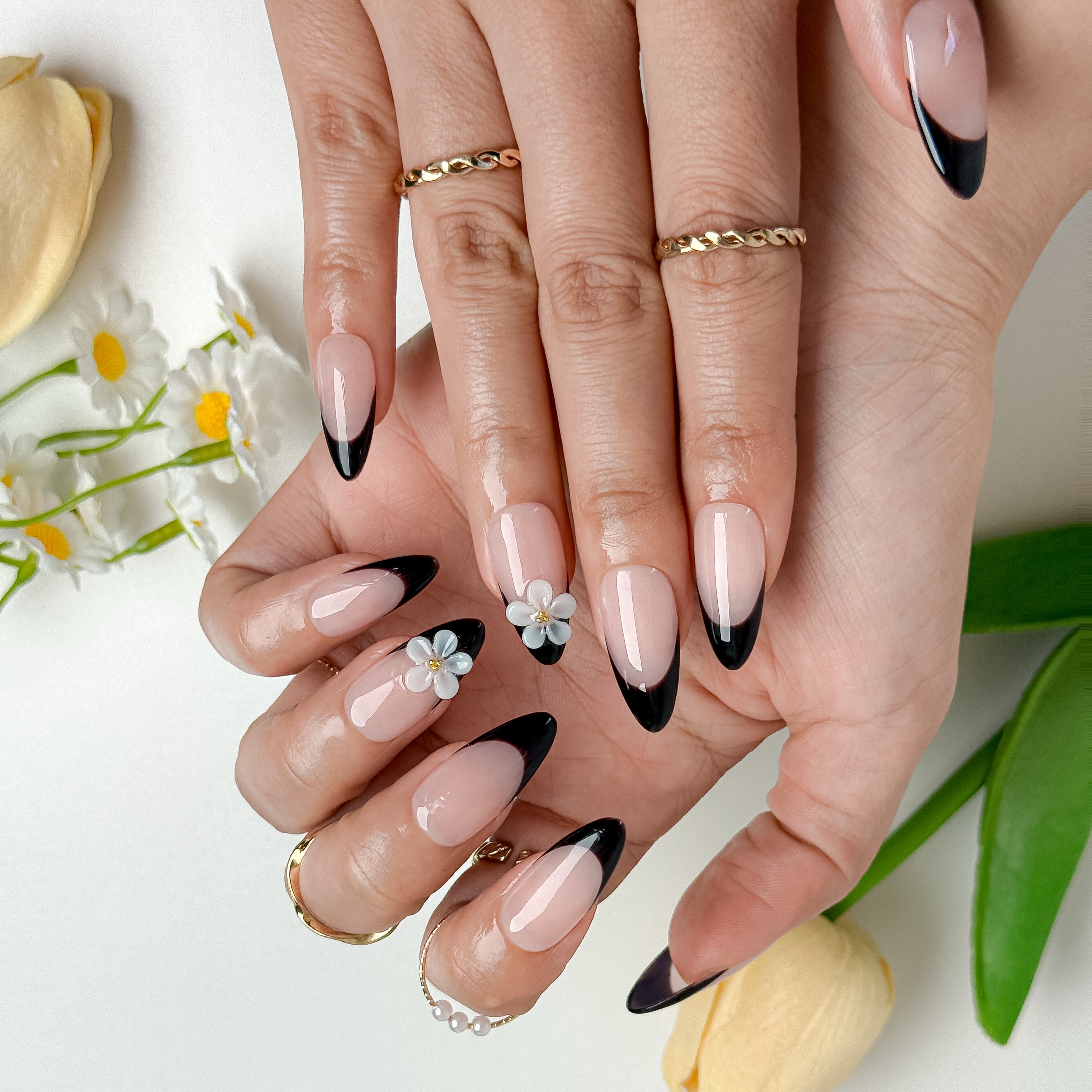 Midnight Petal French